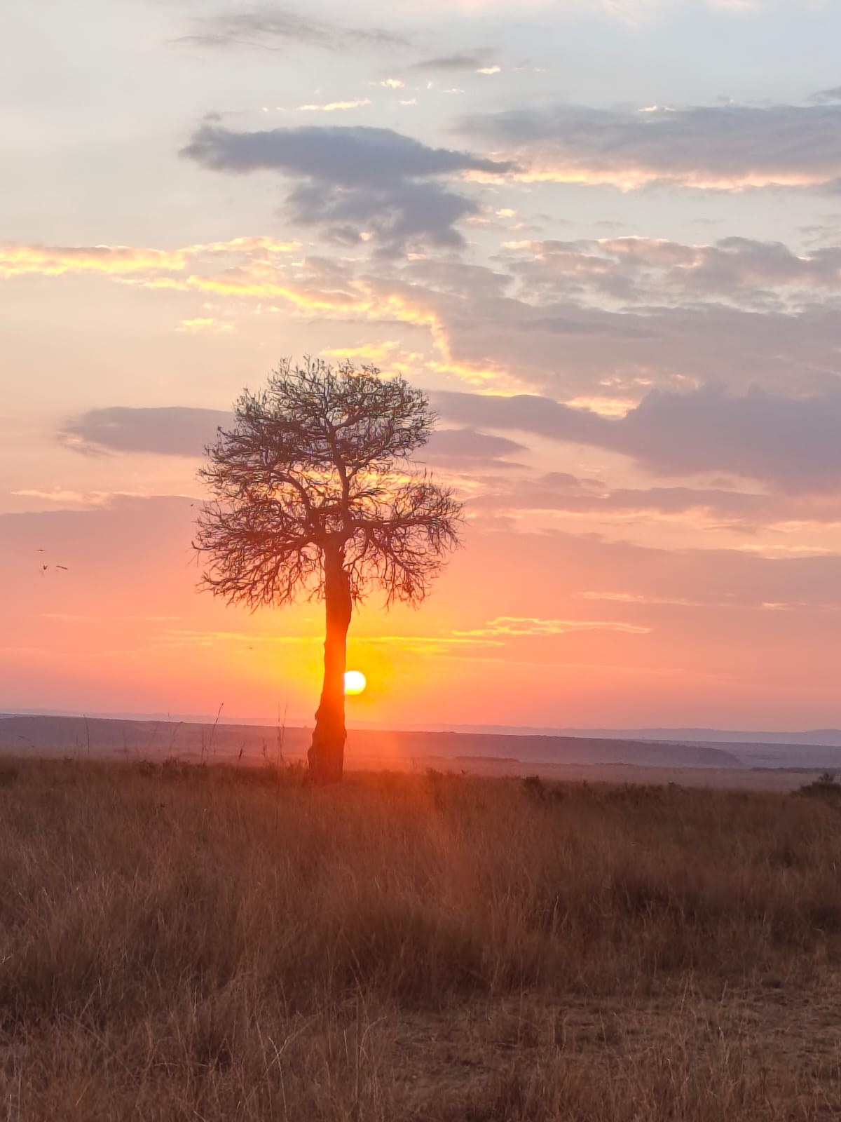 Maasai Mara & Lake Nakuru